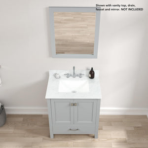 Blossom Geneva 30" 2-Door 1-Drawer Metal Gray Freestanding Solid Wood Single Vanity Base