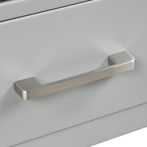 Blossom Geneva 30" 2-Door 1-Drawer Metal Gray Freestanding Solid Wood Single Vanity Base