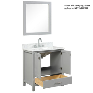 Blossom Geneva 30" 2-Door 1-Drawer Metal Gray Freestanding Solid Wood Single Vanity Base