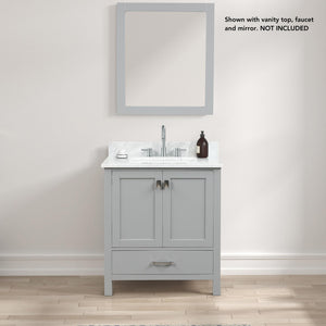 Blossom Geneva 30" 2-Door 1-Drawer Metal Gray Freestanding Solid Wood Single Vanity Base