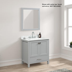 Blossom Geneva 30" 2-Door 1-Drawer Metal Gray Freestanding Solid Wood Single Vanity Base