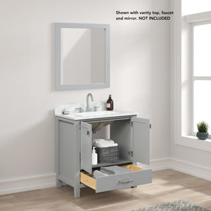 Blossom Geneva 30" 2-Door 1-Drawer Metal Gray Freestanding Solid Wood Single Vanity Base