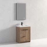 Blossom Hanover 24" 2-Door 1-Drawer Classic Oak Freestanding Single Vanity Base