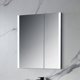 Blossom Pollux 30X32 LED Medicine Cabinet