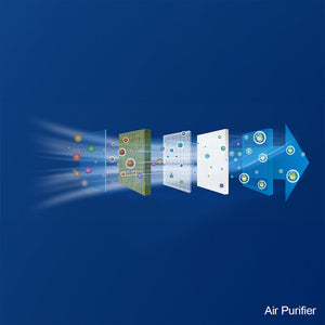 Blossom ST09 03 Heated Seat Smart Toilet with Soft Close Seat and Lid