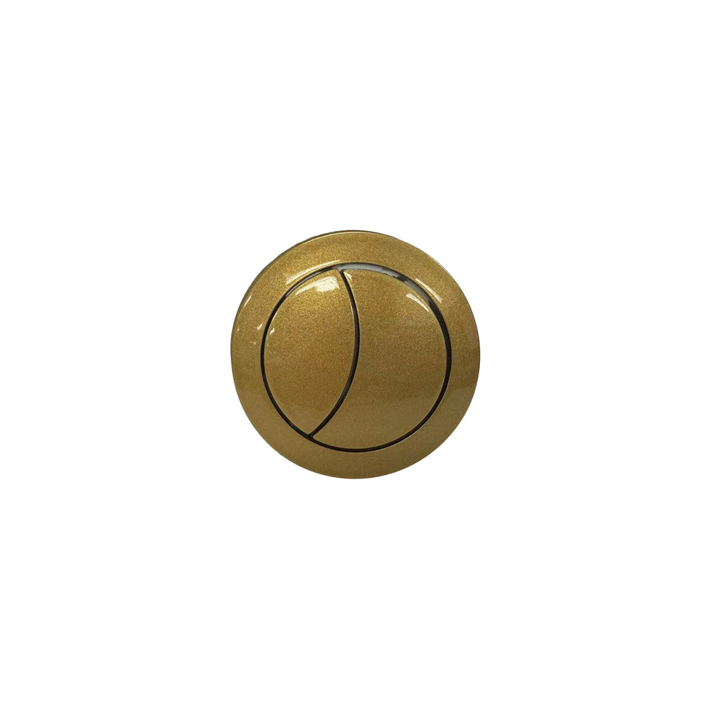 Blossom T9 01-05 Brush Gold Flush Button
