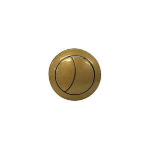 Blossom T9 01-05 Brush Gold Flush Button