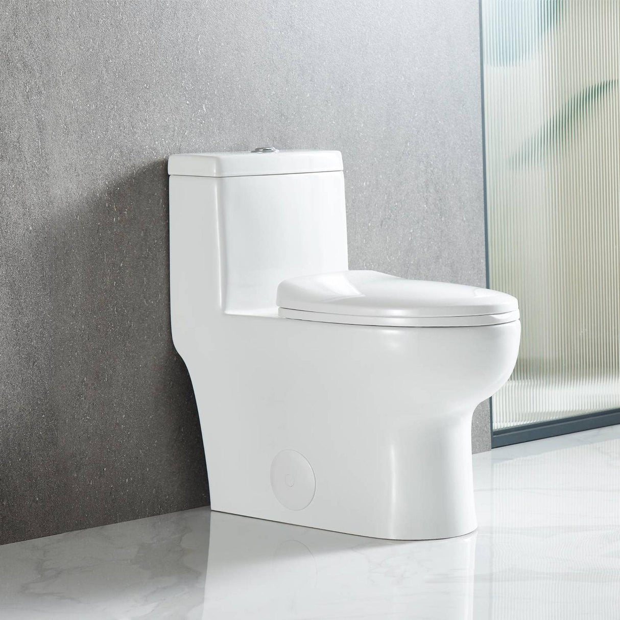 Blossom T9 01 1.1 / 1.6 GPF Dual Flush White One Piece Toilet With Slow-closing Seat Cover