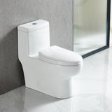 Blossom T9 01 1.1 / 1.6 GPF Dual Flush White One Piece Toilet With Slow-closing Seat Cover