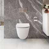 LILY Wallhung Toilet