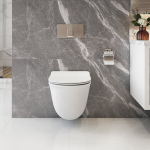 LILY Wallhung Toilet