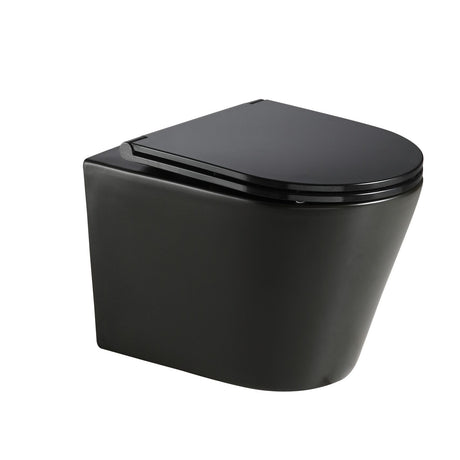 VISTA Wallhung Toilet