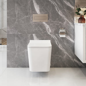 Icera C-5570.01 Baxter Wallhung Toilet