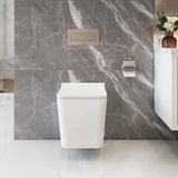 BAXTER Wallhung Toilet