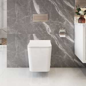 BAXTER Wallhung Toilet