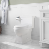 JULIAN SKIRTED One-Piece Toilet