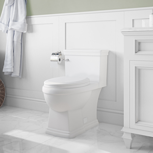 JULIAN SKIRTED One-Piece Toilet
