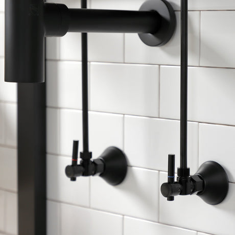 Trimscape CC43100DLLKB30 Contemporary Plumbing Sink Trim Kit with Bottle Trap, Matte Black