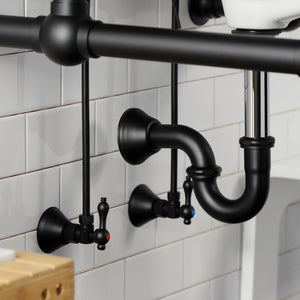 Trimscape CC43100LKB30 Traditional Plumbing Sink Trim Kit with P-Trap, Matte Black