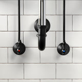 Trimscape CC43100LKB30 Traditional Plumbing Sink Trim Kit with P-Trap, Matte Black