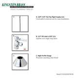 Trimscape CC43101DLTKF20 Contemporary Plumbing Toilet Trim Kit, Polished Chrome