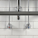 Trimscape CC43101VKB30 Traditional Plumbing Sink Trim Kit with P-Trap and Drain, Polished Chrome