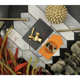 Trimscape CC43102DLTKF20 Contemporary Plumbing Toilet Trim Kit, Polished Brass