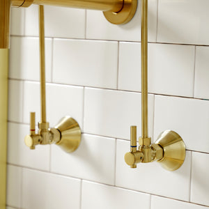 Trimscape CC43107DLLKB30 Contemporary Plumbing Sink Trim Kit with Bottle Trap, Brushed Brass