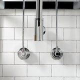 Trimscape CC53301DLTRMK1 Traditional Plumbing Sink Trim Kit with P-Trap and Drain (No Overflow), Polished Chrome