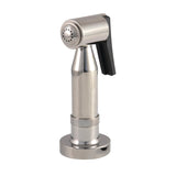 Concord CCRP21K6 Brass Kitchen Faucet Side Sprayer, Polished Nickel