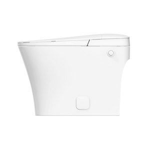 ICERA CS-15 Non-Electric Tankless Toilet (includes seat and bowl) White CS-15.01