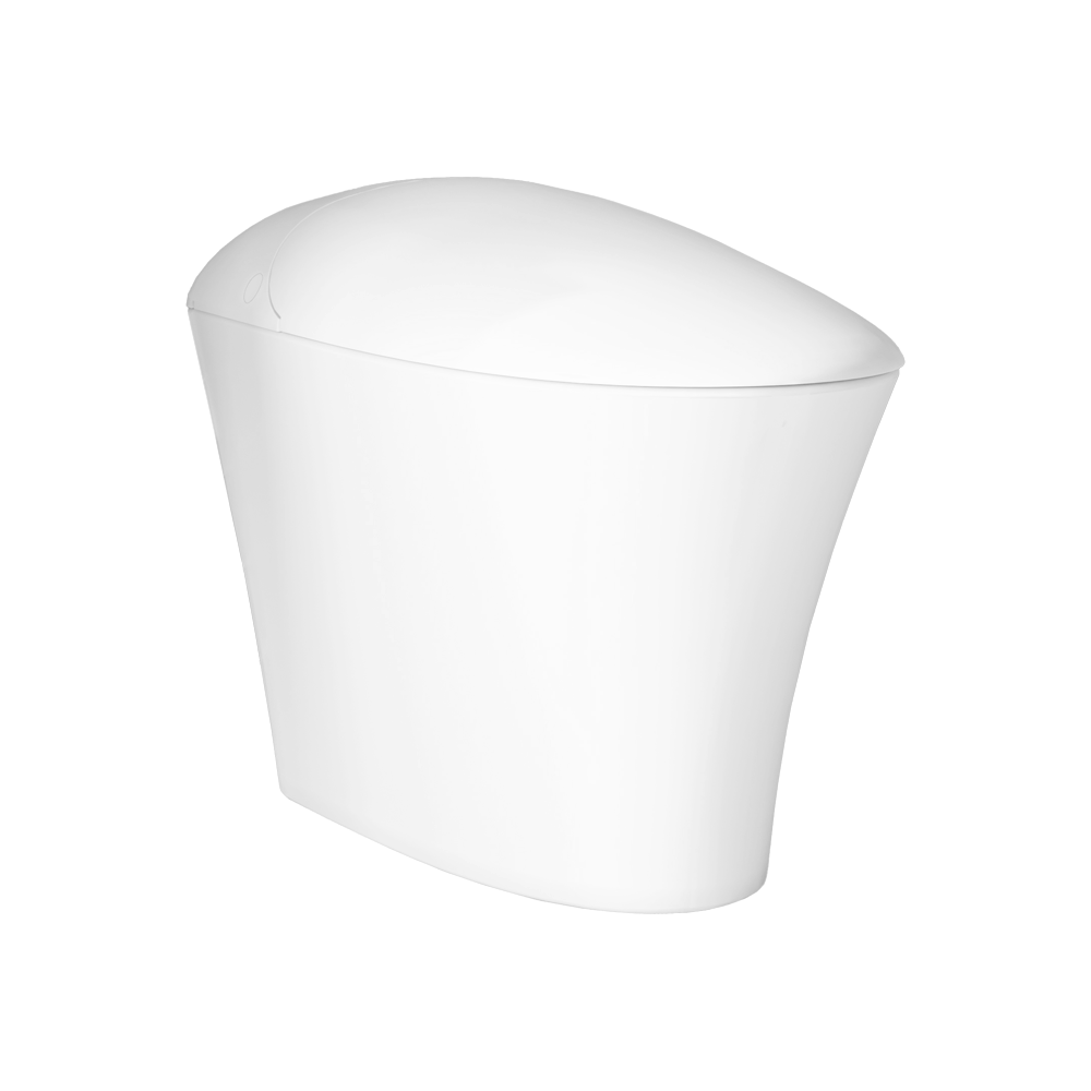 ICERA iWash CS-22 Integrated Bidet Toilet (includes seat, bowl and remote) White CS-22.01