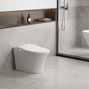SMART CS-17 Tankless Toilet
