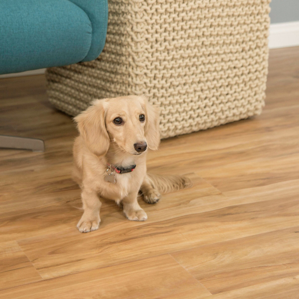CALI Summer Blonde All Star Wide Click (Covers 23.77 SQFT) 7904210500