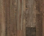 CALI Pacific Pier All Star Wide Click (Covers 23.77 SQFT) 7904210300