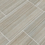 Charisma Silver 12"x24" Glazed Ceramic Floor and Wall Tile- MSI Collection ESSENTIALS CHARISMA SILVER 12X24 (Case)