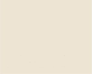 Hydro Systems ELL2215SSS-BIS ELLIPSE 22X15 SOLID SURFACE SINK - BISCUIT