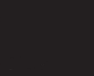 Hydro Systems AC.BLA ACRYLIC TUB COLOR - PREMIUM - BLACK