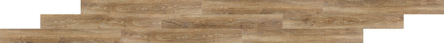 Daltile Adventuro Compass Rigid Click 6x48 4.5MM 12 MIL(0.3048) Luxury Vinyl Tile
