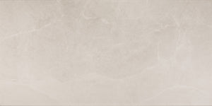 Daltile Advantage Portrait White Rectangle 12x24 Matte Floor Tile