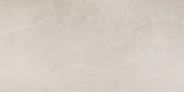 Daltile Advantage Portrait White Rectangle 12x24 Matte Floor Tile
