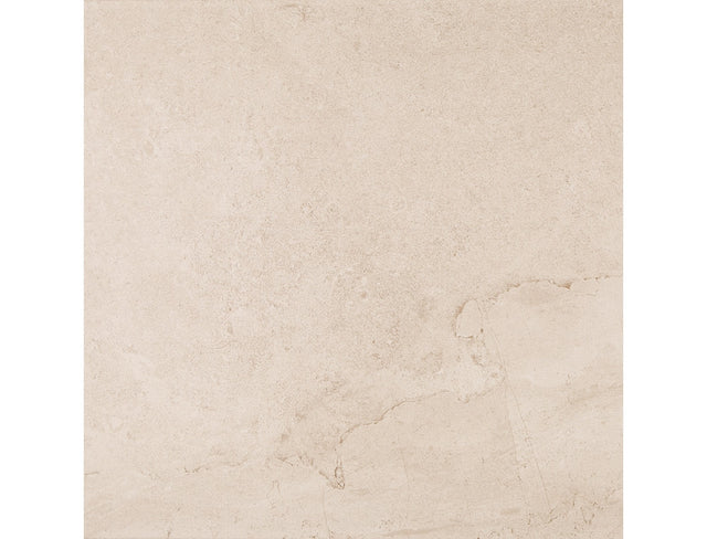 Daltile Advantage Mural Taupe Square 12x12 Matte Floor Tile AQ02SQ1212MTJJ1