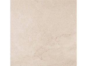 Daltile Advantage Mural Taupe Square 18x18 Matte Floor Tile AQ02SQ1818MTJ1