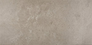 Daltile Advantage Renoir Grey Rectangle 12x24 Matte Floor Tile