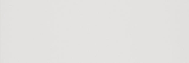 Daltile Aesthetic Flat Glossy Rectangle 12x36 Glossy Wall Tile