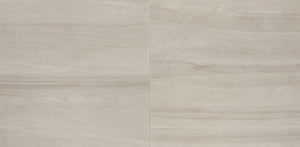 Daltile Platinum Grey Rectangle 12x24 Matte Floor Tile AV19RCT1224MTJ1