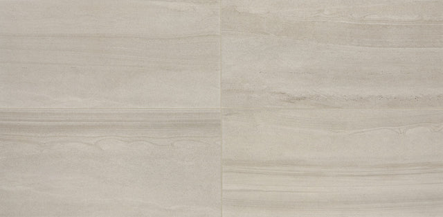 Daltile Platinum Grey Rectangle 12x24 Matte Floor Tile AV19RCT1224MTJ1