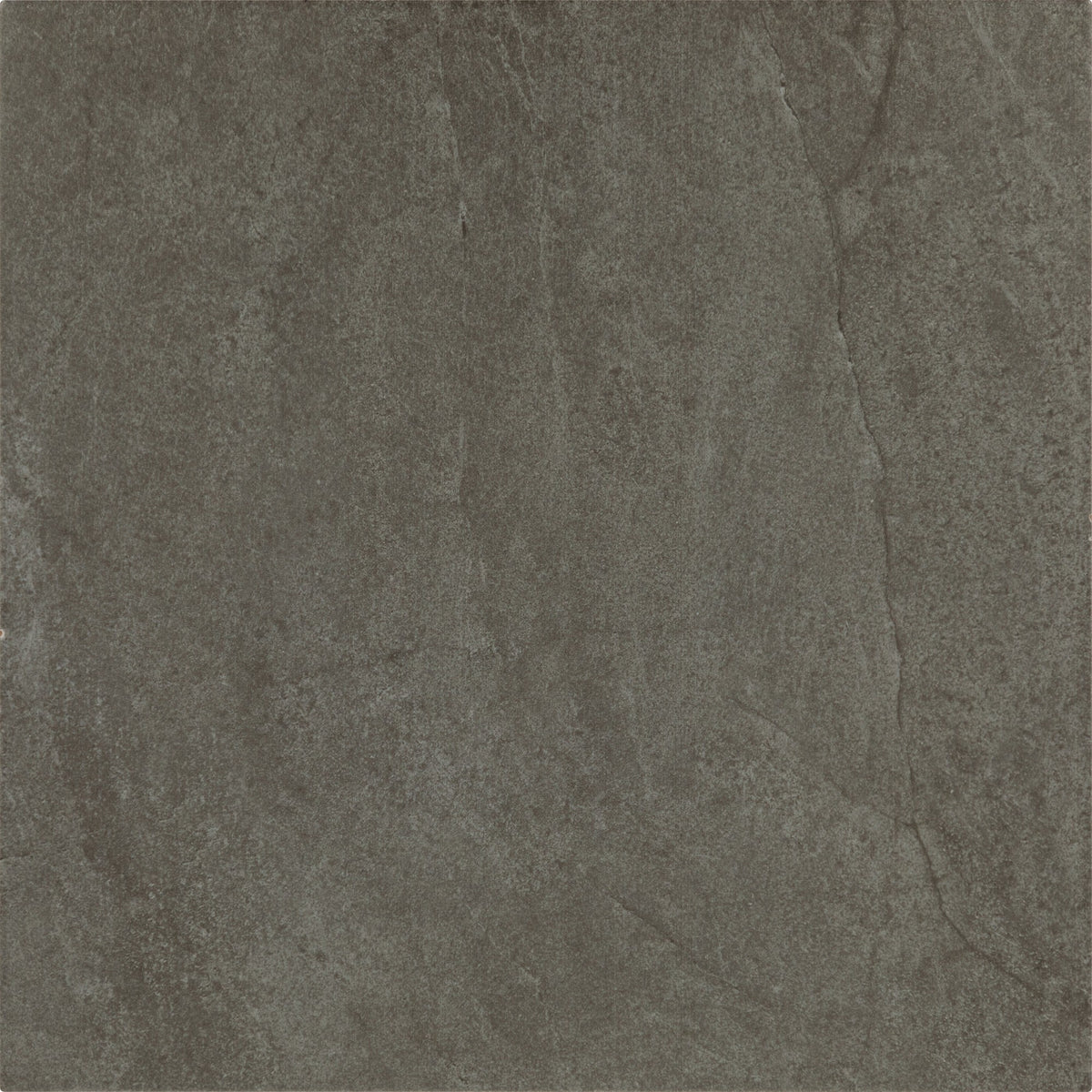 Daltile Prime Charcoal Square 18x18 Matte Floor Tile