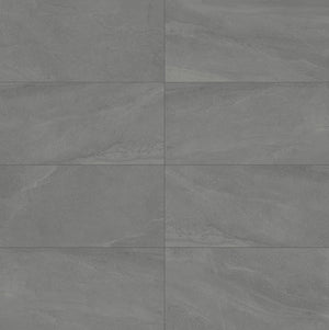 Daltile Calgary Armor Rectangle 24x48 Polished Floor Tile CG43RCT2448APL