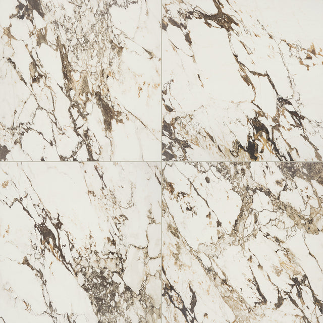 Daltile Panoramic Duet Calacatta Aries Square 24x24 Polished Floor Tile